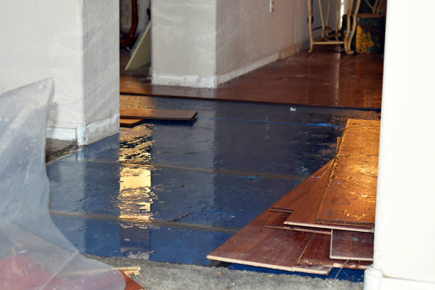 Professional Water Damage Restoration technician working in West Liberty, IA